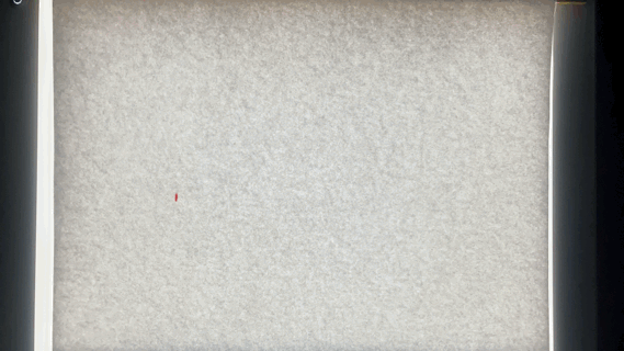 animated paper animation that I did : - )